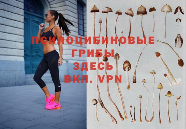 кокаин перу Арсеньев
