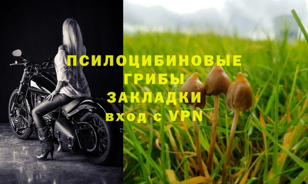 mix Армянск