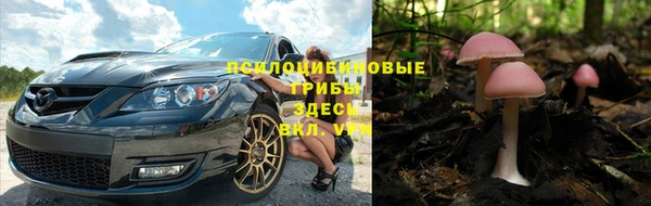 mix Армянск