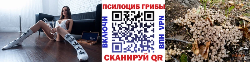 Галлюциногенные грибы Psilocybe  купить наркотик  mega ONION  Спас-Деменск 